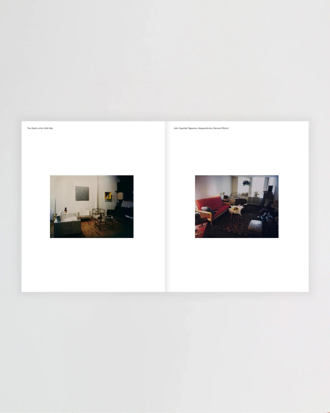 New York Living Rooms, Dominique Nabokov