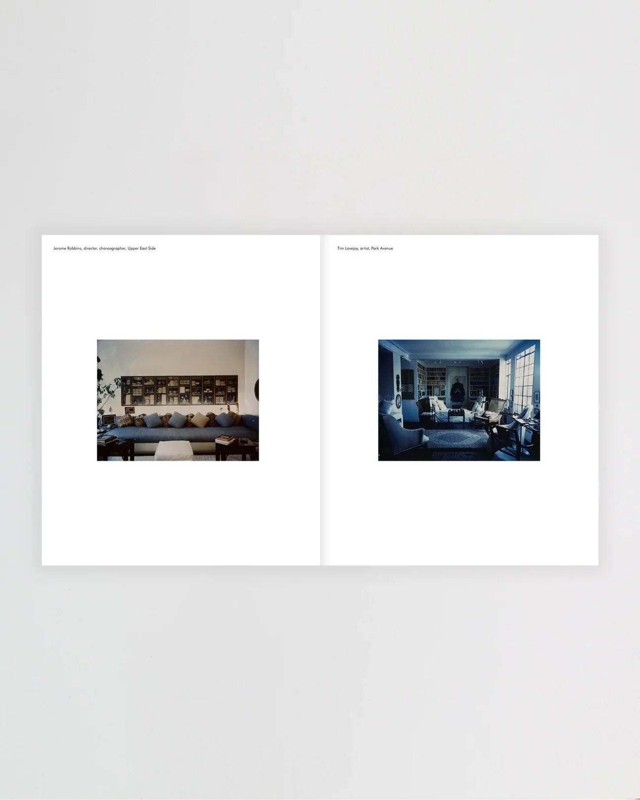New York Living Rooms, Dominique Nabokov