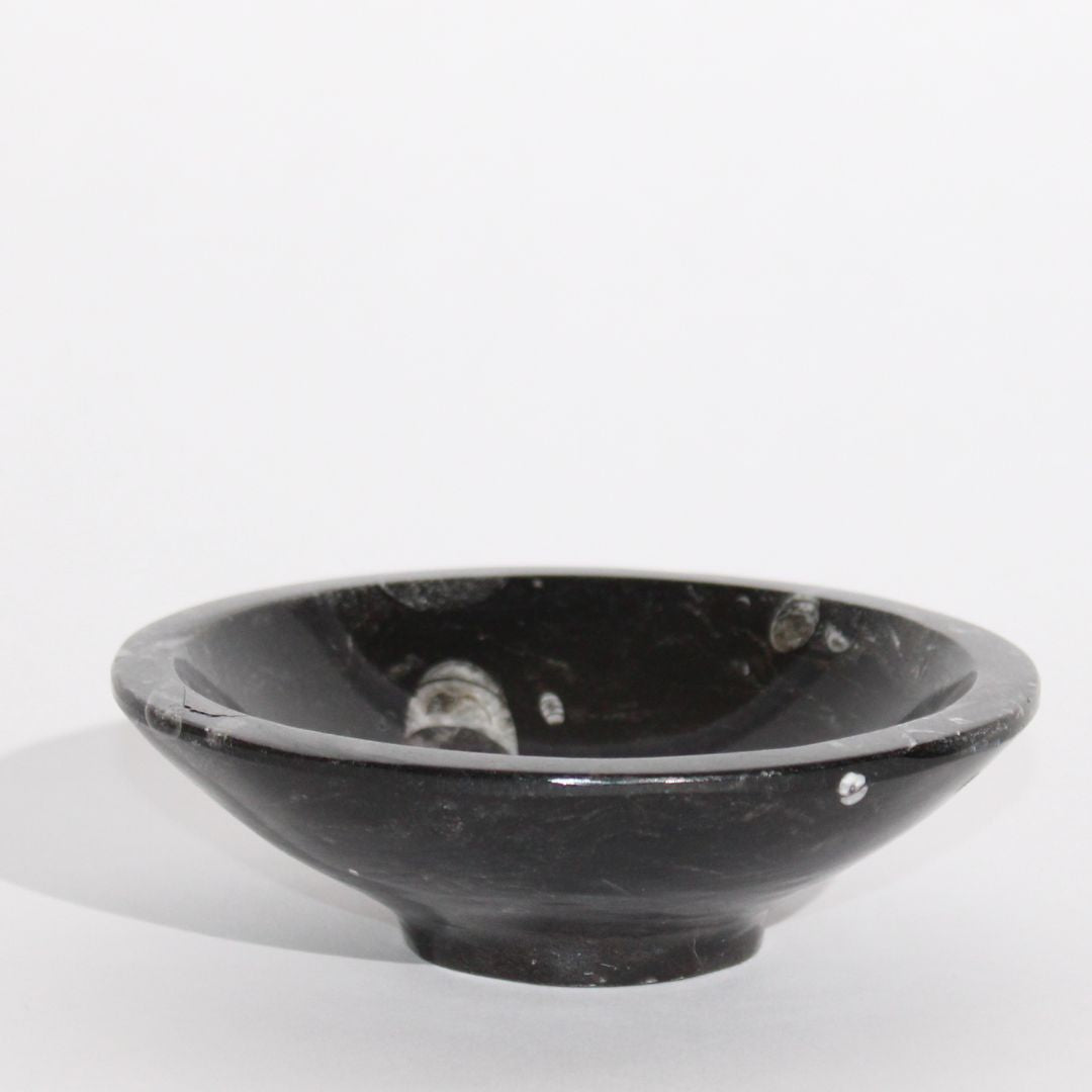 Orthoceras Fossil Bowl